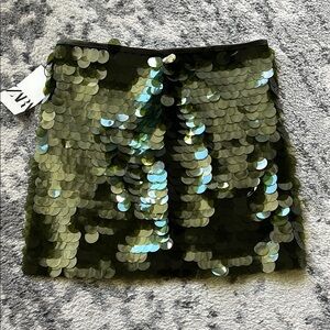 Zara Green Sequin Skirt